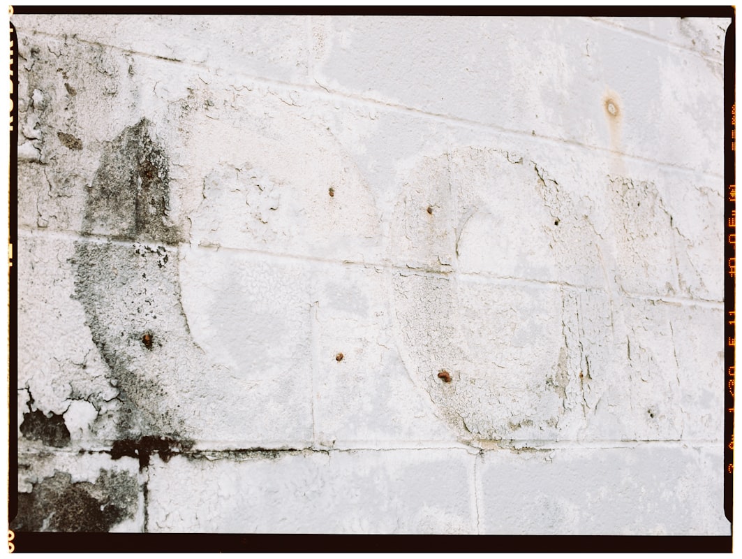 Mold Remediation service in Fort Smith, AR