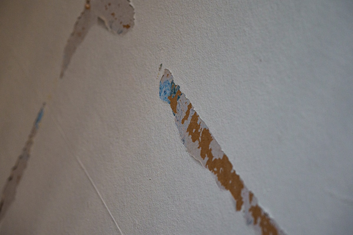 Flood Cleanup service in Fort Smith, AR